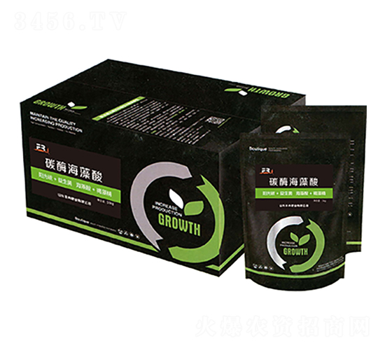 ̼ø������-�SȽ