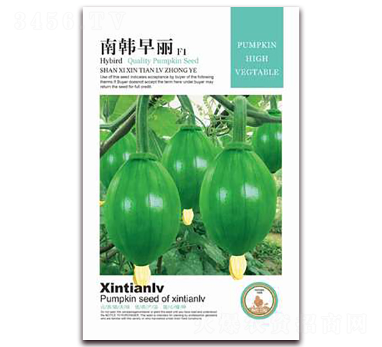 ���n����-�ϹϷN��-���G