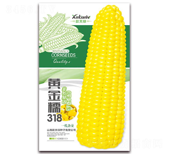 �S��Ŵ318-��Ŵ���׷N��-���G