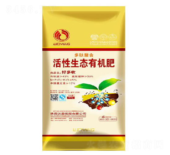 �������ϻ������B(t��i)�ЙC��-��ӯ����