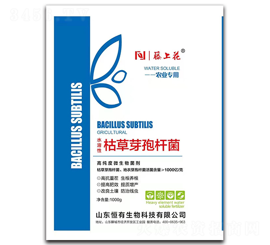 �ݲ�ѿ�ߗU��-���ϻ�-��������