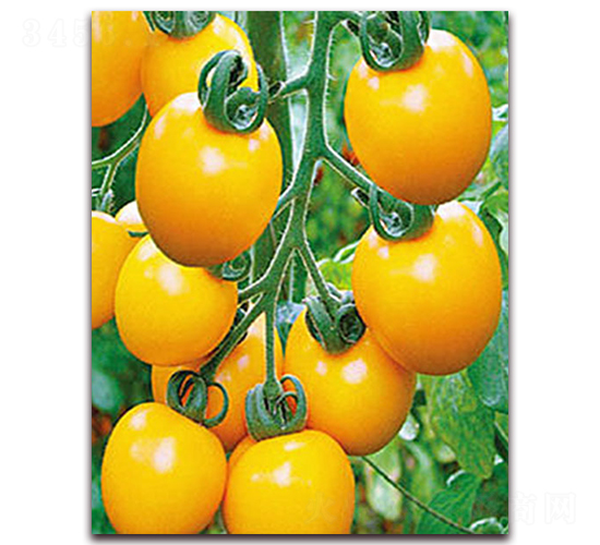 �S�_��-����С���t���N��-���_(d��)