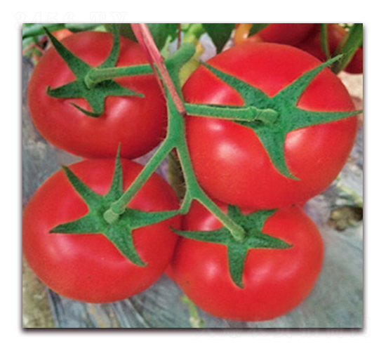 �t��܊-�t�����ѷN��-���_(d��)