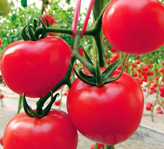 ����_-�t�����ѷN��-���_(d��)