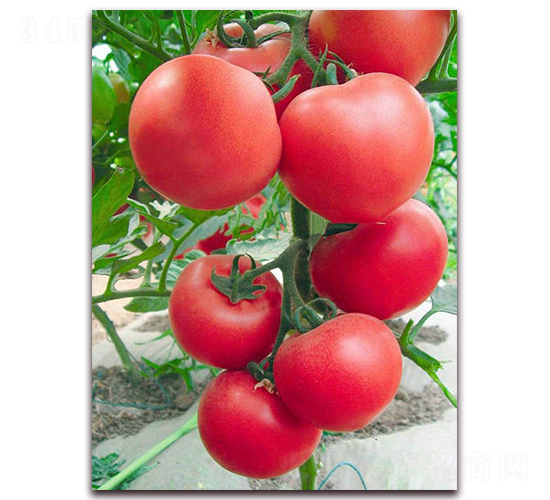 ��Ⱥ-�۹����ѷN��-���_(d��)