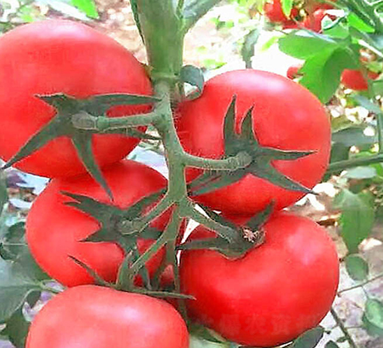 ����-�۹����ѷN��-���_(d��)