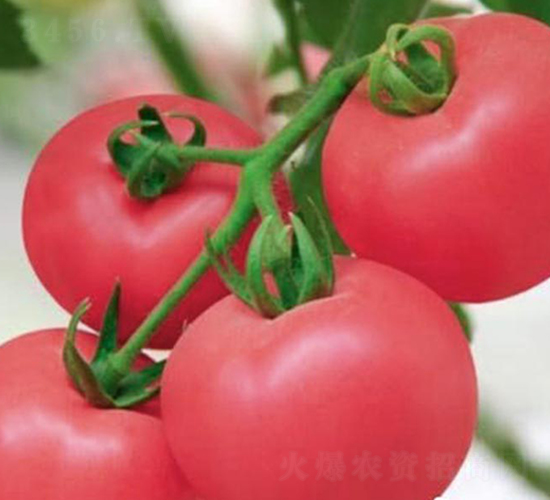 ����-�۹����ѷN��-���_(d��)