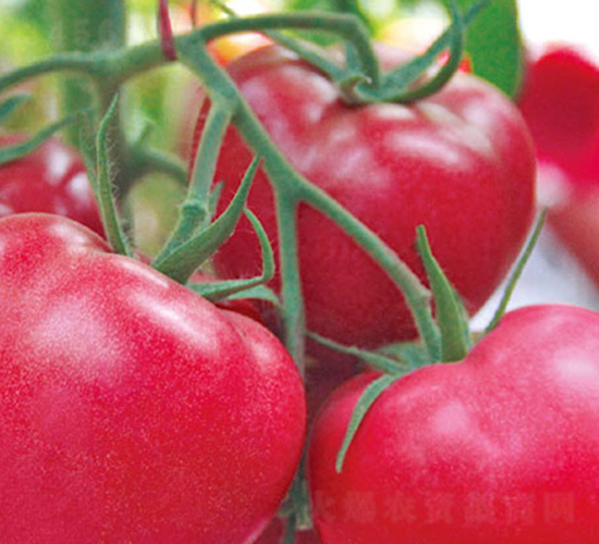 ����-�۹����ѷN��-���_