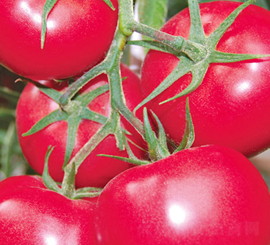 ������̖(h��o)-�۹����ѷN��-���_(d��)