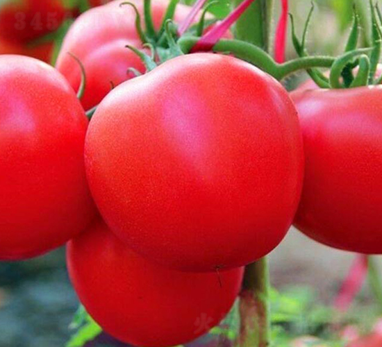 ���_-�۹����ѷN��-���_(d��)