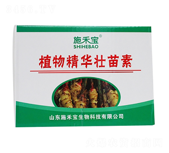 ֲ�ﾫ�A�����أ��䣩-ʩ�̌�