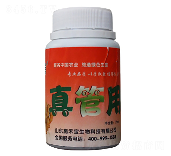 �����-ʩ�̌�