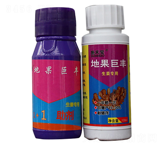 �ع����S���M�ϣ�-ʩ�̌�