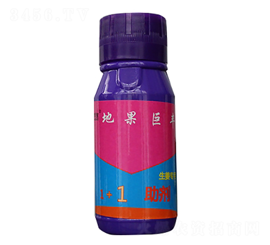 �ع����S-ʩ�̌�