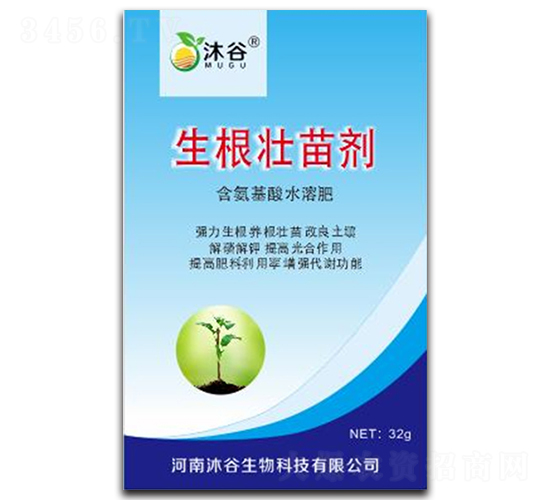 �������焩-�������