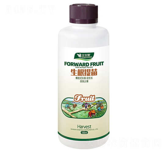 ���������-�S�A��-�S�A�ʘI(y��)