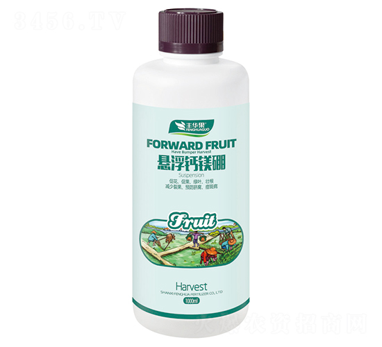 �Ҹ��}�V��-�S�A��-�S�A�ʘI(y��)