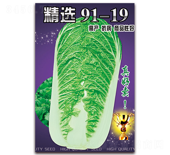 ���x91-19-�ײ˷N��-���ǷN�I(y��)