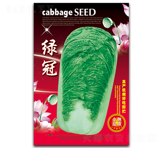 �G��-�ײ˷N��-���ǷN�I(y��)