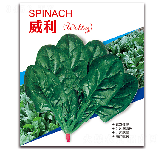 ����-���˷N��-�I�ھ���