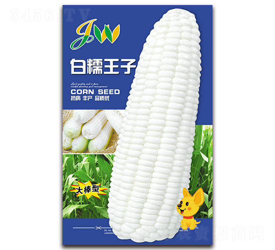 ��Ŵ����-�rʳ���׷N��-�I(y��ng)�ھ���