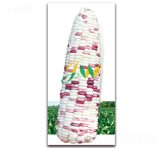 ��Ŵ2000-�rʳ���׷N��-�I(y��ng)�ھ���