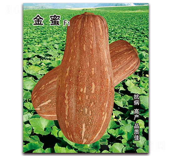 ����-�ϹϷN��-�I�ھ���