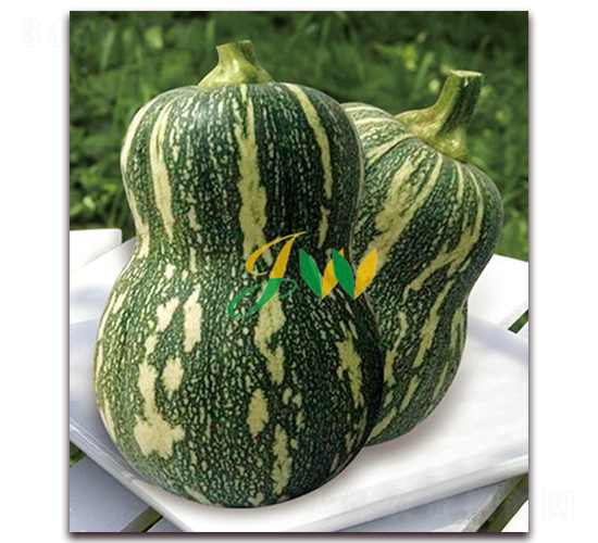 ����-�ϹϷN��-�I�ھ���