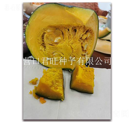 ������-�ϹϷN��-�I�ھ���