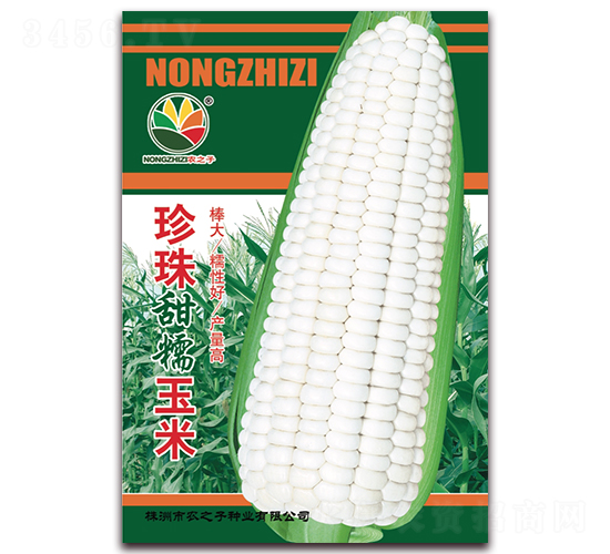 ������Ŵ����-���׷N��-�r(n��ng)֮��