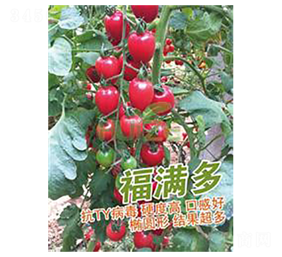 ���M��-���ҷ��ѷN��-��ػݝ�