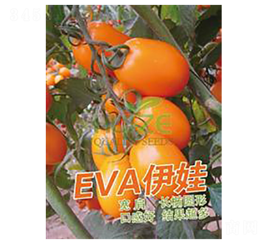 ����-���ҷ��ѷN��-��ػݝ�