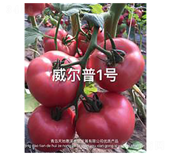 ������1̖(h��o)-�۹����ѷN��-��ػݝ�