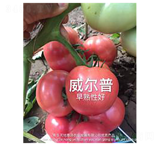 ������-�۹����ѷN��-��ػݝ�