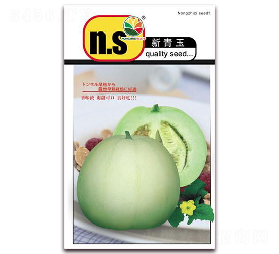 ������-��ϷN��-�r֮��