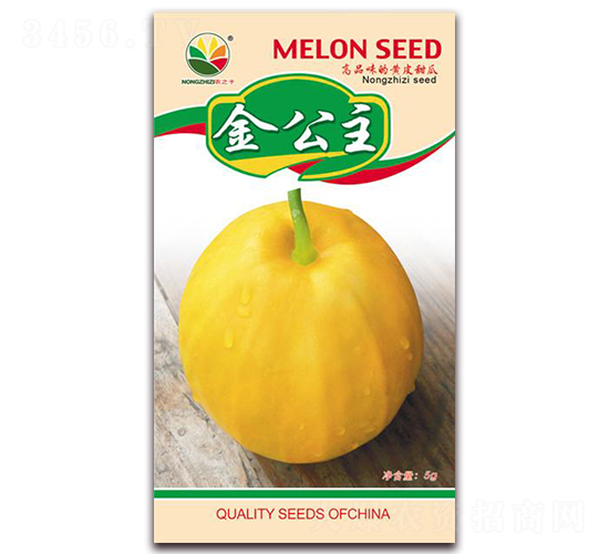 ����-��ϷN��-�r(n��ng)֮��