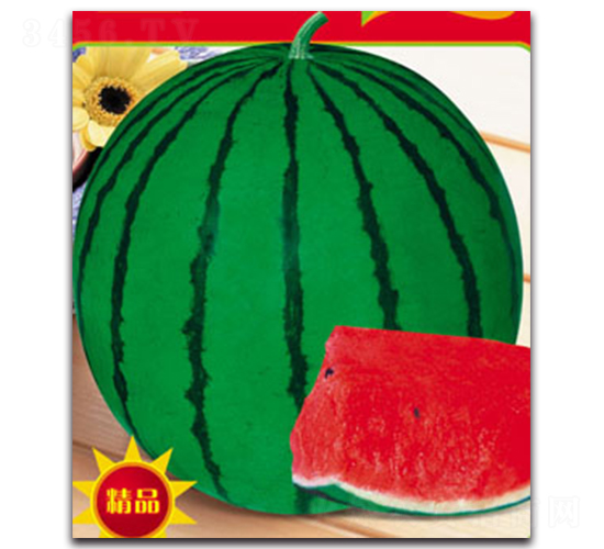 ����-���ϷN��-����ӯ�r�I(y��)