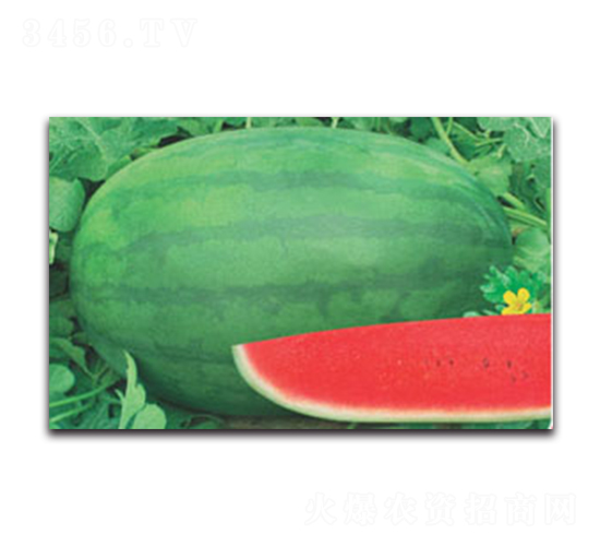 �޿���̖-���ϷN��-����ӯ�r(n��ng)�I(y��)