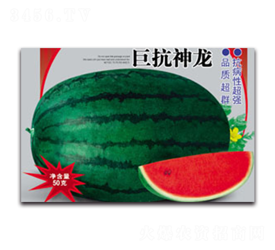 �޿�����-���ϷN��-����ӯ�r(n��ng)�I(y��)