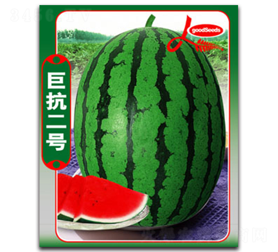 �޿���̖(h��o)-���ϷN��-����ӯ�r(n��ng)�I(y��)