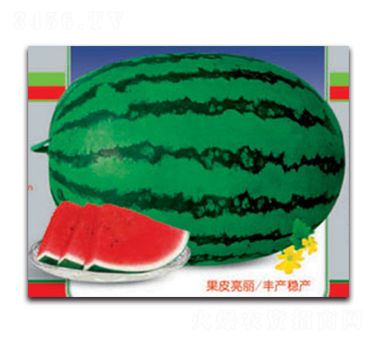 �޿���̖-���ϷN��-����ӯ�r(n��ng)�I(y��)