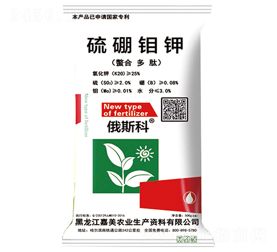 �����f�-��˹��-����