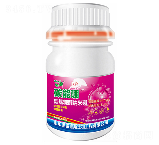 ̼����-�W�׵�˹