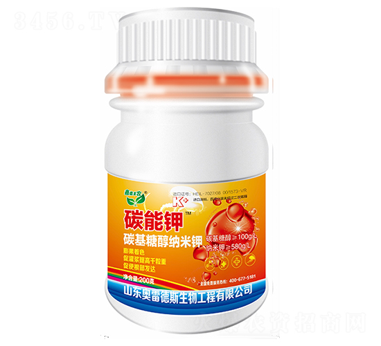 ̼���-�W�׵�˹