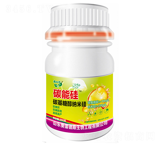 ̼�ܹ�-�W�׵�˹