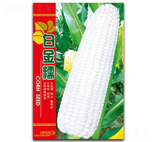 �׽�Ŵ-Ŵ���׷N��-���ǷN�I(y��)