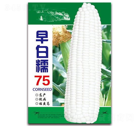 ���Ŵ75-Ŵ���׷N��-���ǷN�I(y��)