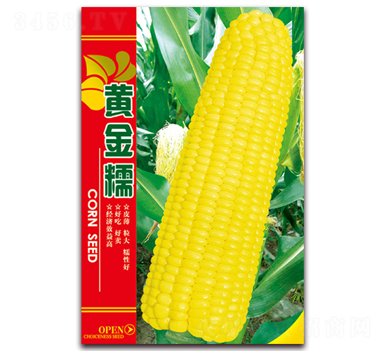 �S��Ŵ-Ŵ���׷N��-���ǷN�I(y��)