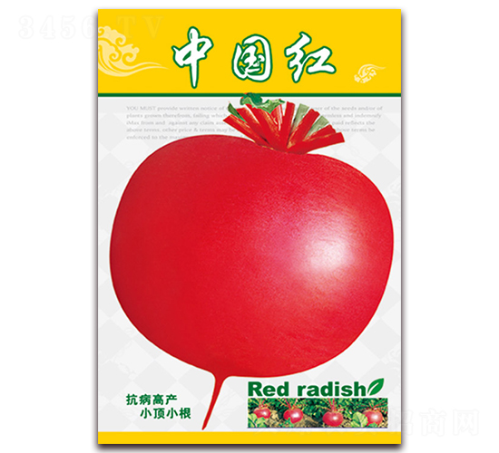 �Ї��t-�}���N��-���ǷN�I(y��)