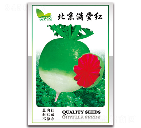 �����M�üt-�}���N��-���ǷN�I(y��)